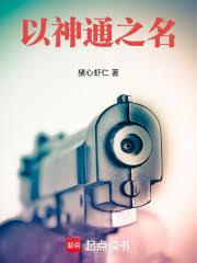 Novel Cover